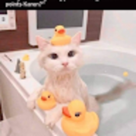 Meet your Posher, S.e - Picture 1 of 1